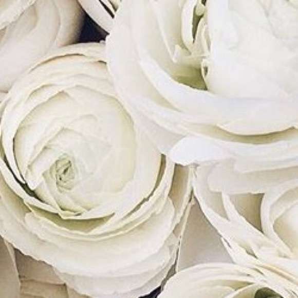 Jewelry - ❕necklace for jscreates